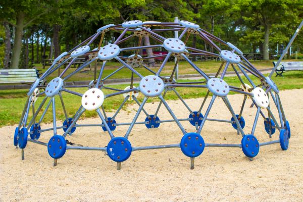 Jungle Gym Assembly in Redmond
