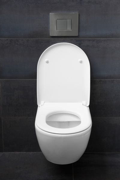 Toilet Lid Installation in Redmond