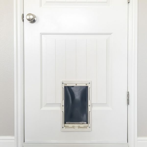 Pet Door Repair in Redmond