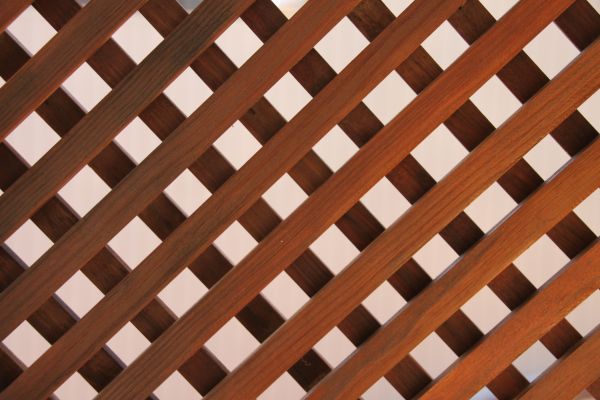 Wood Lattice Repair in Redmond