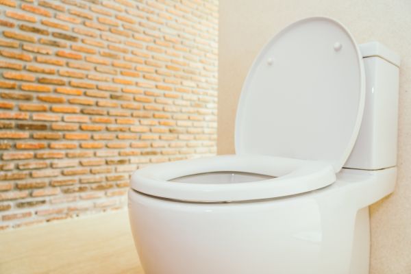 Toilet Seat Repair in Redmond